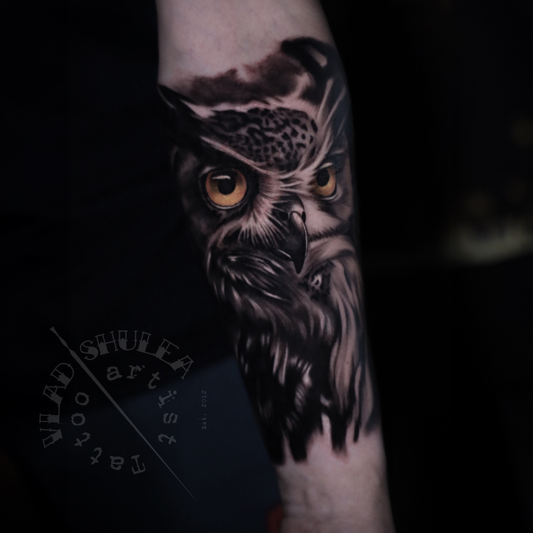 Tatuaj tatuaje black & grey realizat de Vlad Shulea la Ace Tattoo Bucuresti