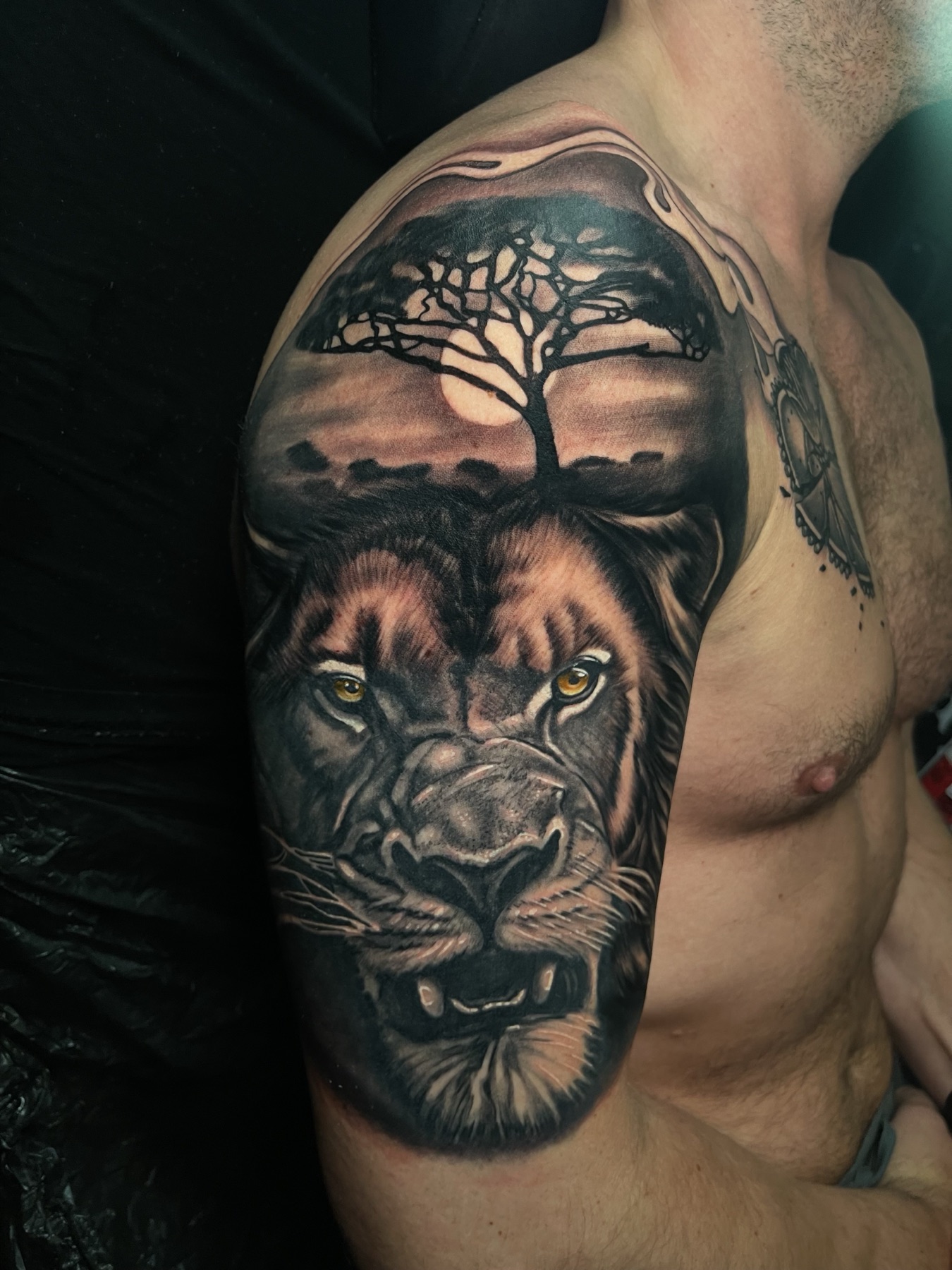 Tatuaj tatuaje black & grey realizat de Vlad Shulea la Ace Tattoo Bucuresti
