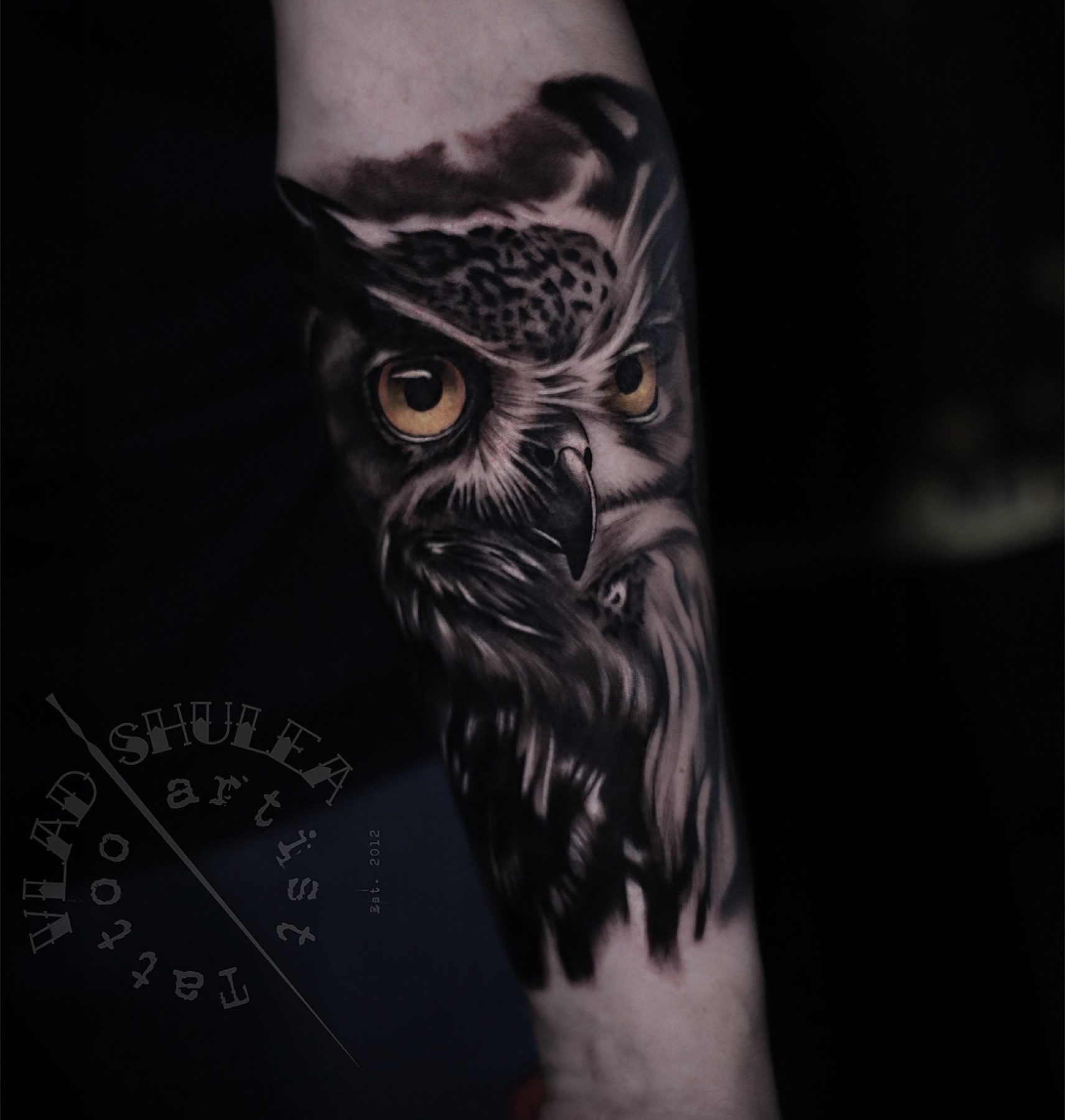 Tatuaj tatuaje black & grey realizat de Vlad Shulea la Ace Tattoo Bucuresti