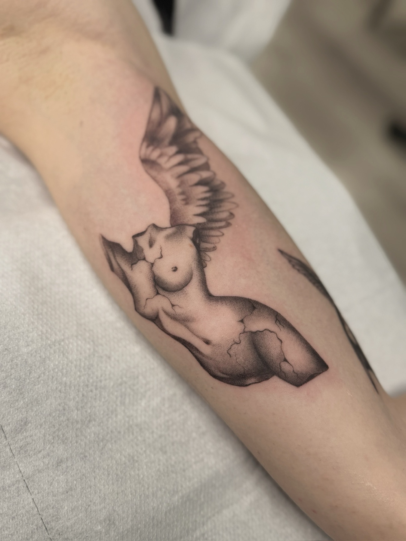 Tatuaj tatuaje fine line realizat de Andreea la Ace Tattoo Bucuresti