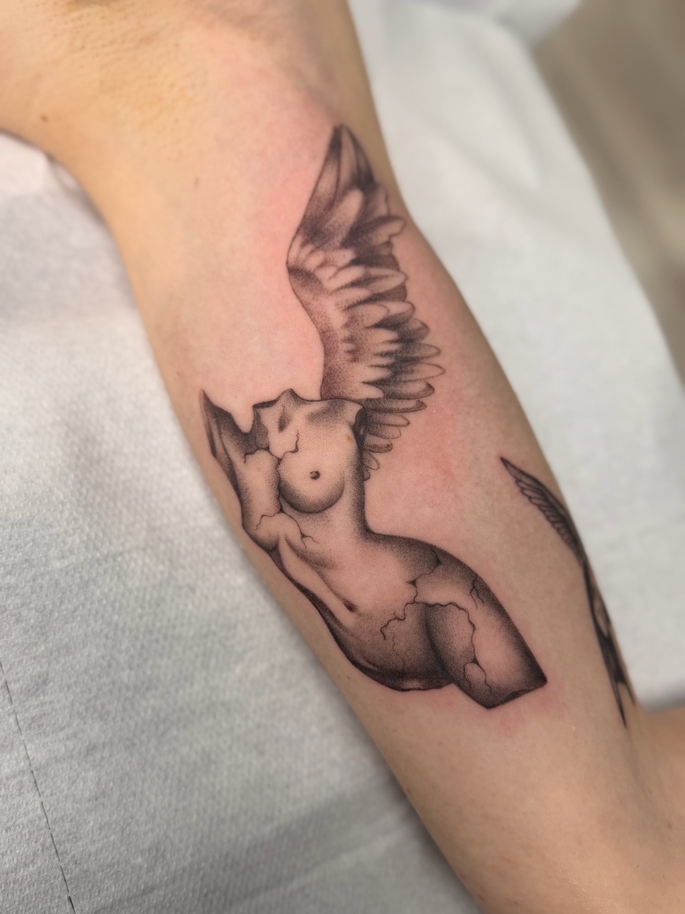 Tatuaj tatuaje fine line realizat de Andreea la Ace Tattoo Bucuresti