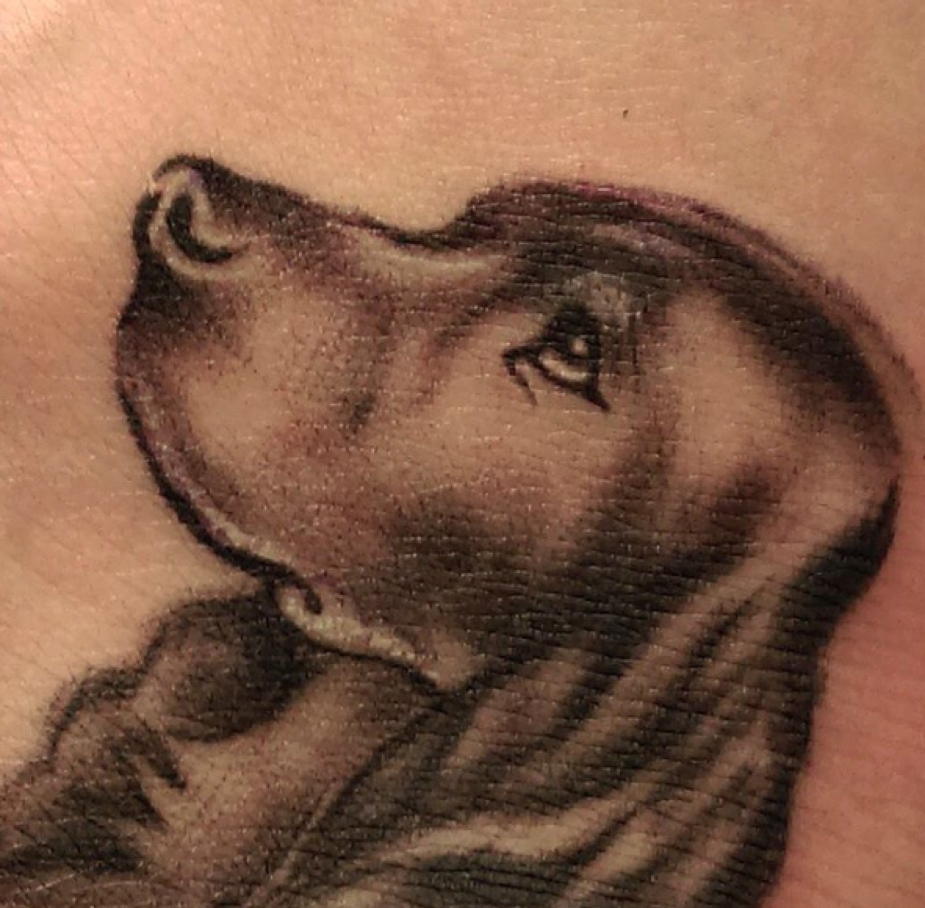 Tatuaj tatuaje microrealism realizat de Vlad Shulea la Ace Tattoo Bucuresti