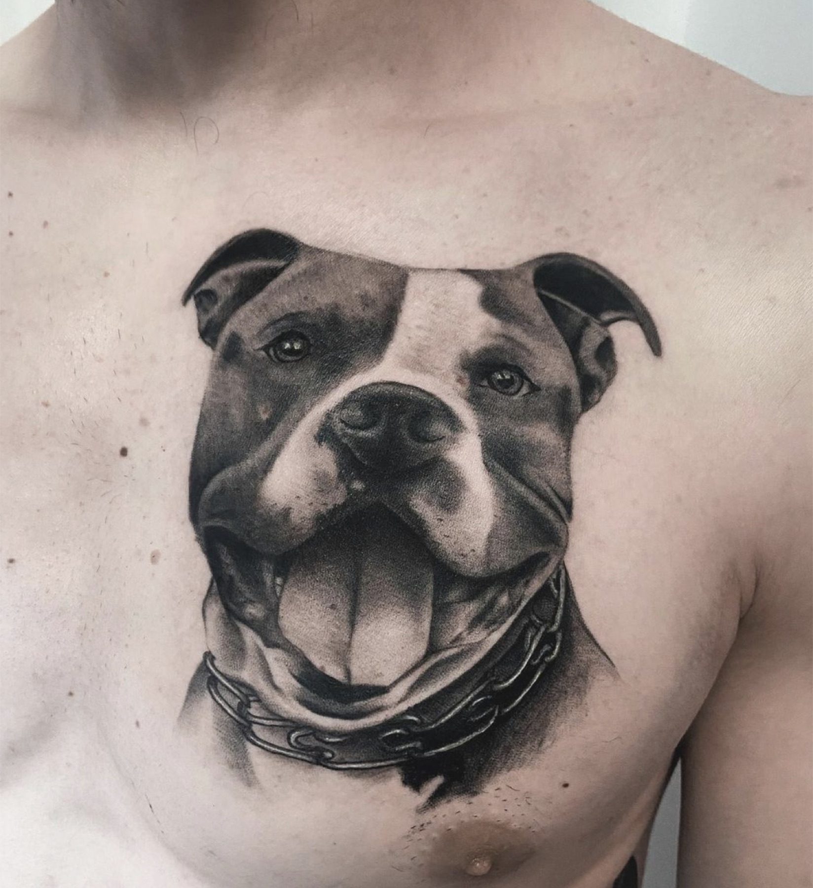 Tatuaj portrete de animale realizat de Rox la Ace Tattoo Bucuresti