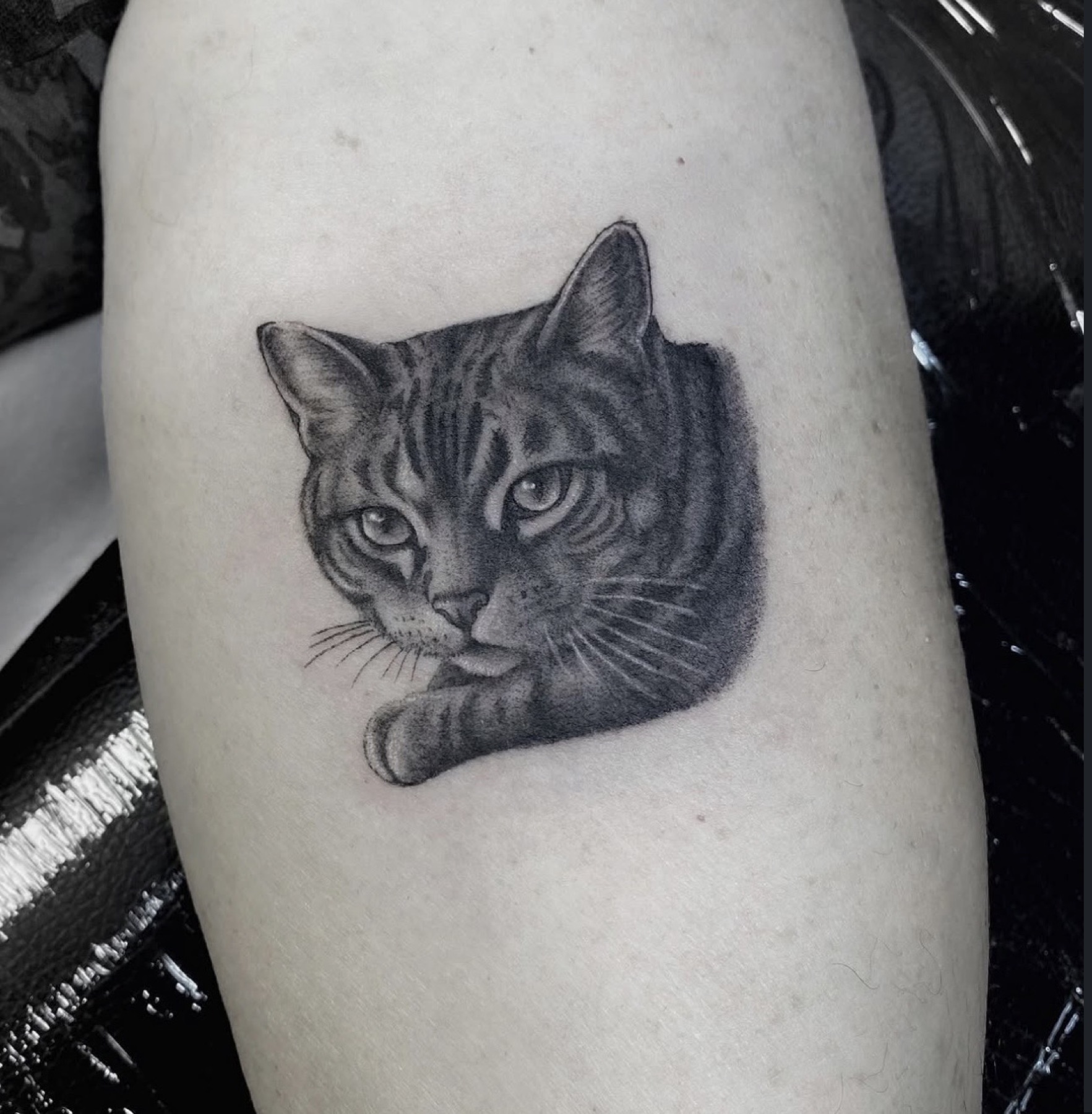 Tatuaj portrete de animale realizat de Rox la Ace Tattoo Bucuresti