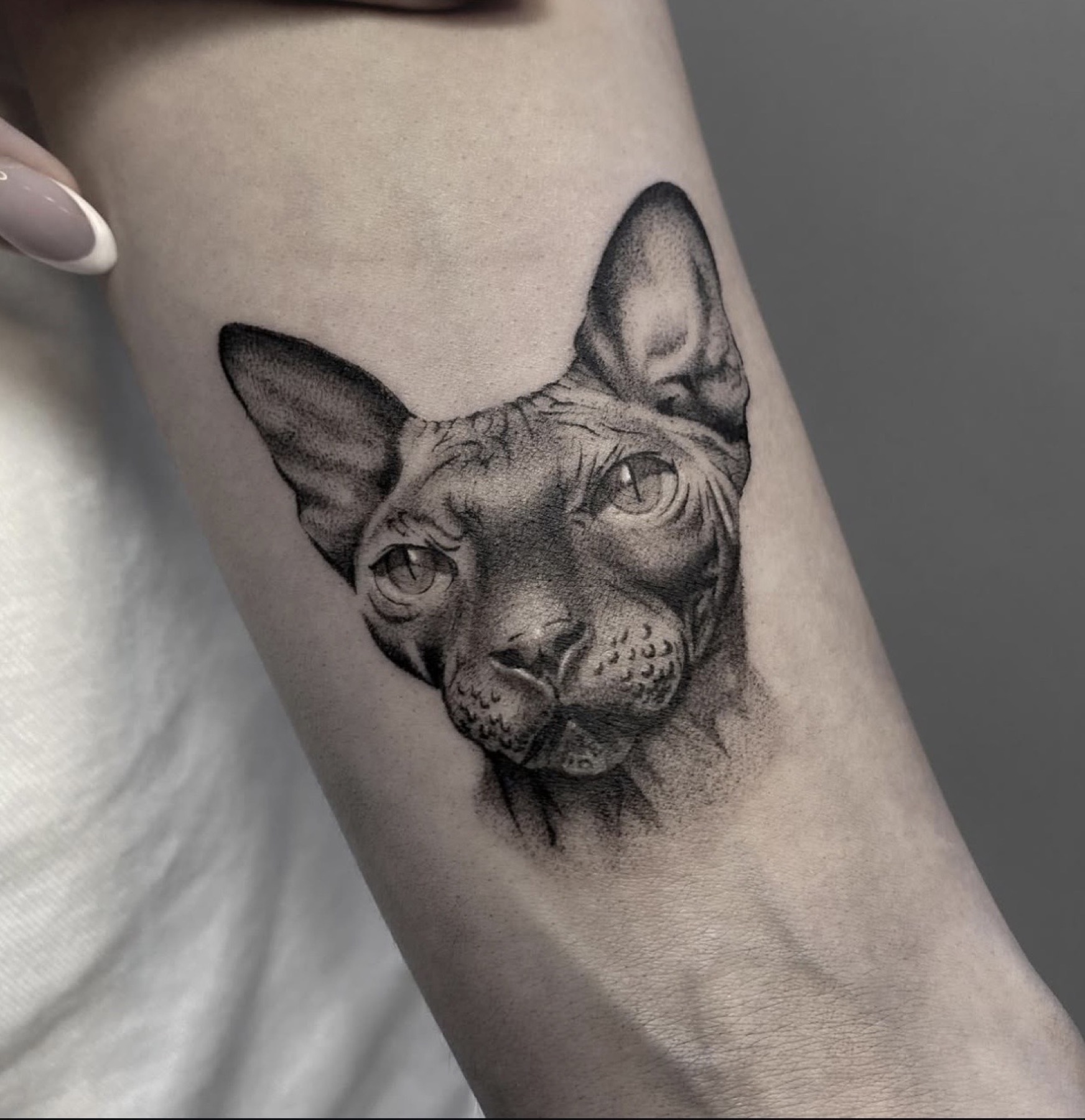 Tatuaj portrete de animale realizat de Rox la Ace Tattoo Bucuresti