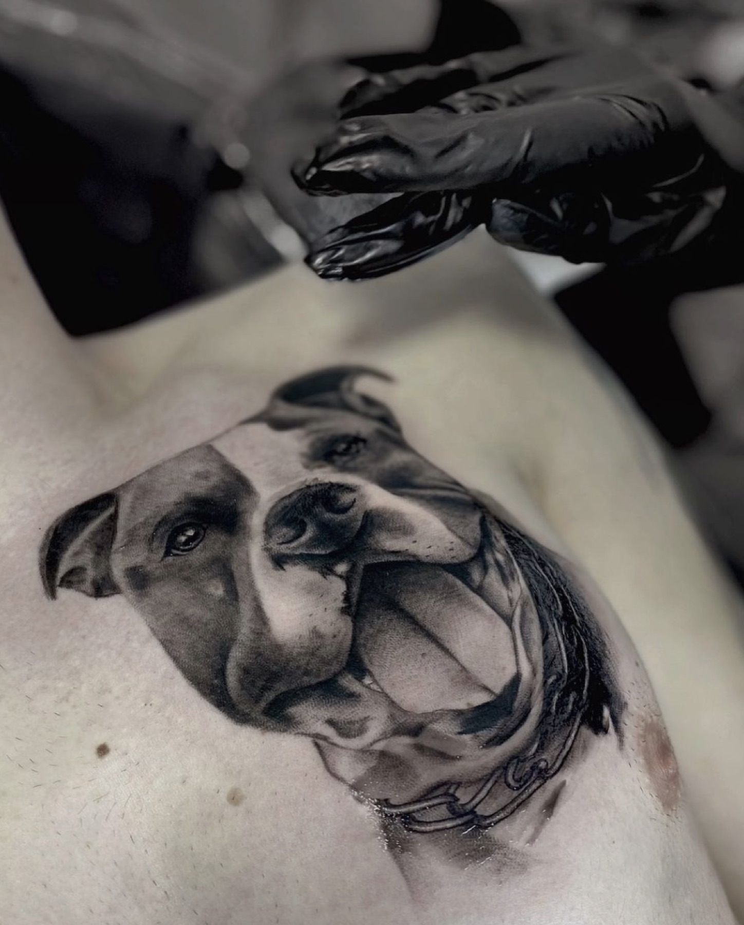 Tatuaj portrete de animale realizat de Rox la Ace Tattoo Bucuresti