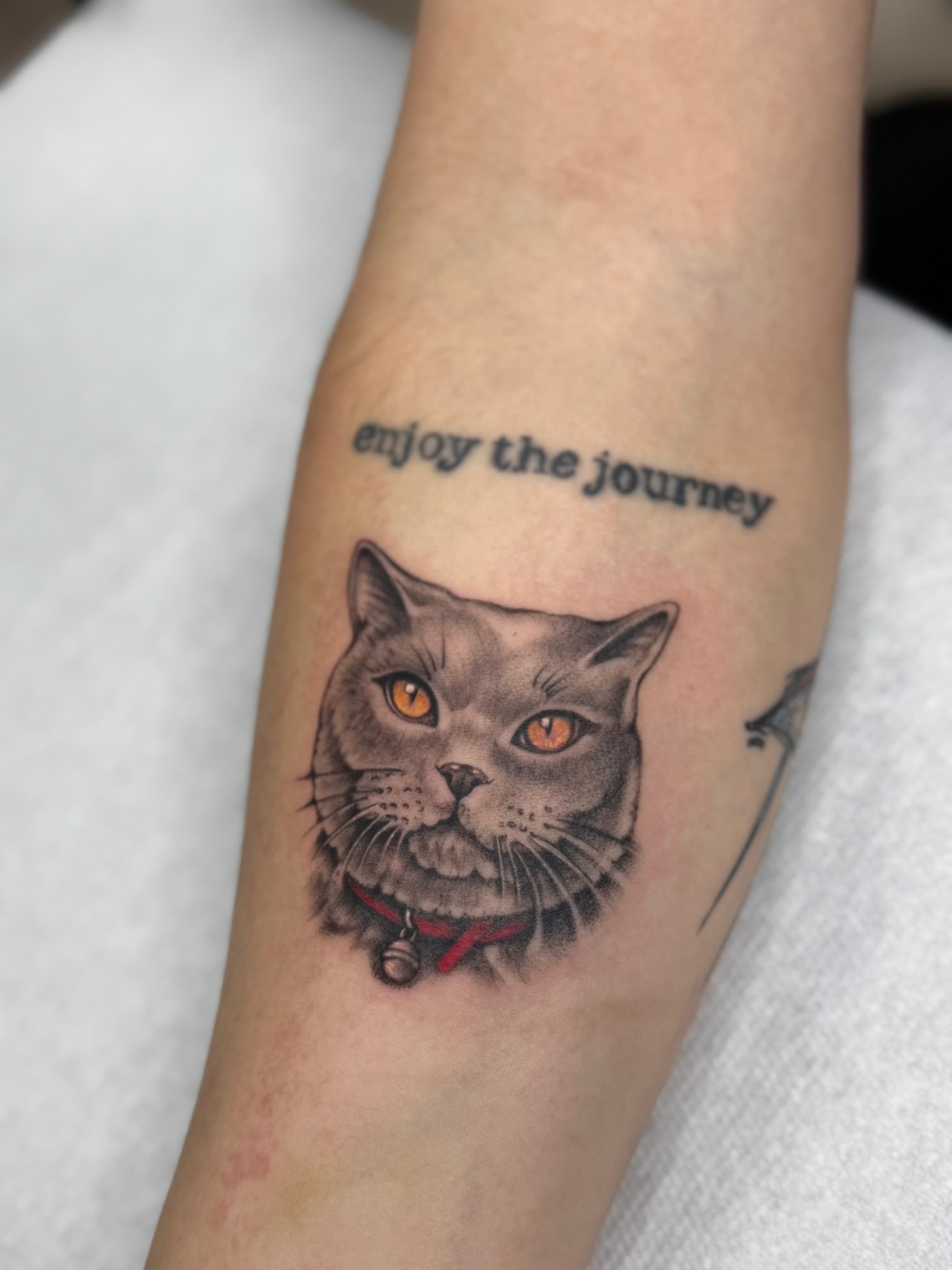 Tatuaj portrete de animale realizat de Andreea la Ace Tattoo Bucuresti