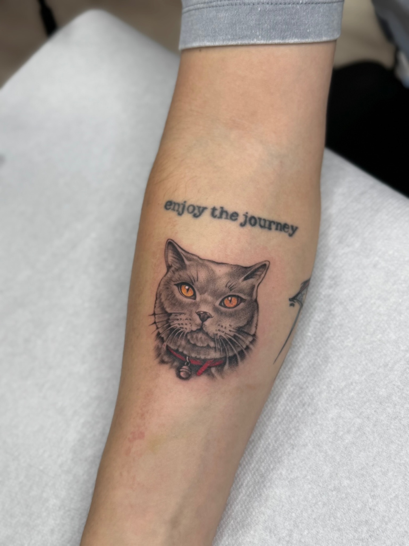 Tatuaj portrete de animale realizat de Andreea la Ace Tattoo Bucuresti