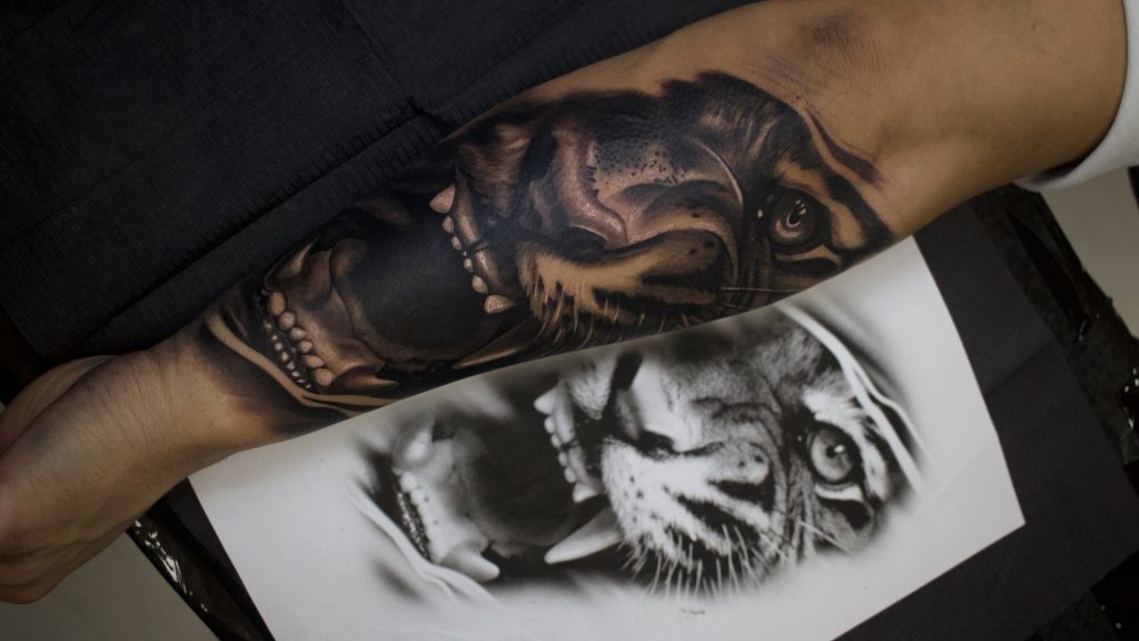 Antebraț tatuat cu un tigru și un craniu în black & grey, lângă referința printată folosită la desen, în studioul Ace Tattoo din București
