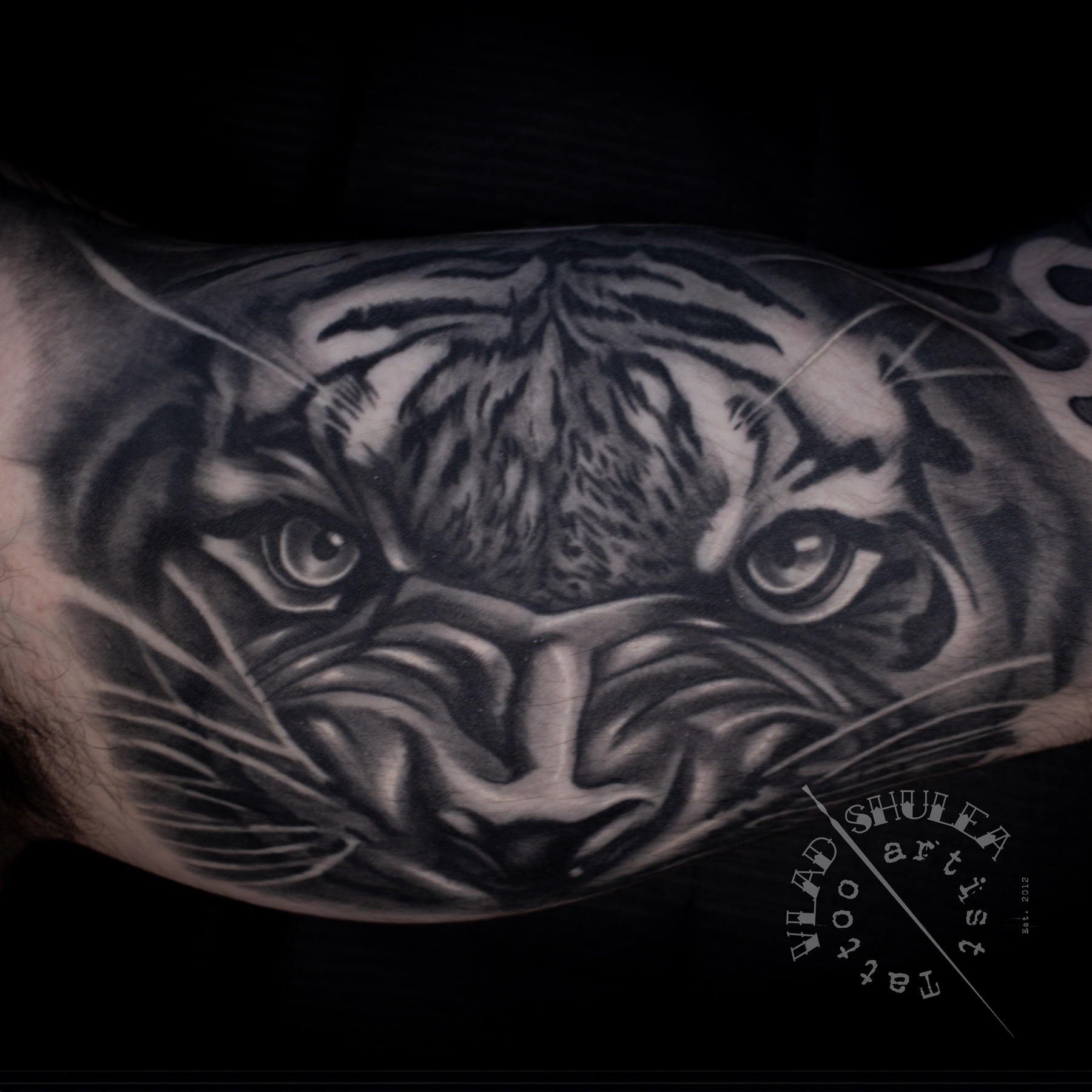 Tatuaj realism realizat de Vlad Shulea la Ace Tattoo Bucuresti