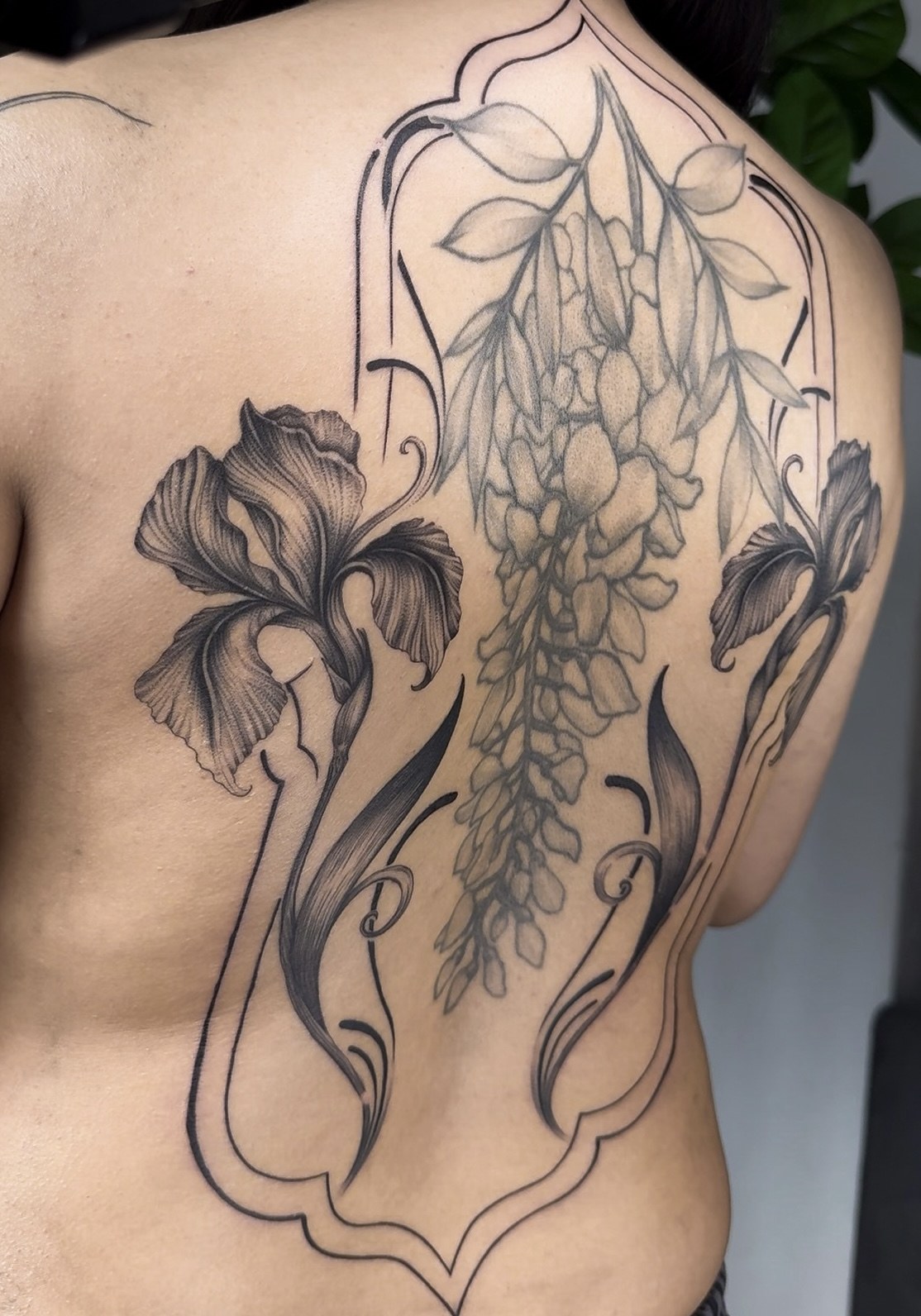 Tatuaj fine line pe spate cu wisteria și iriși în ramă art nouveau, Vlady, guest artist Ace Tattoo București