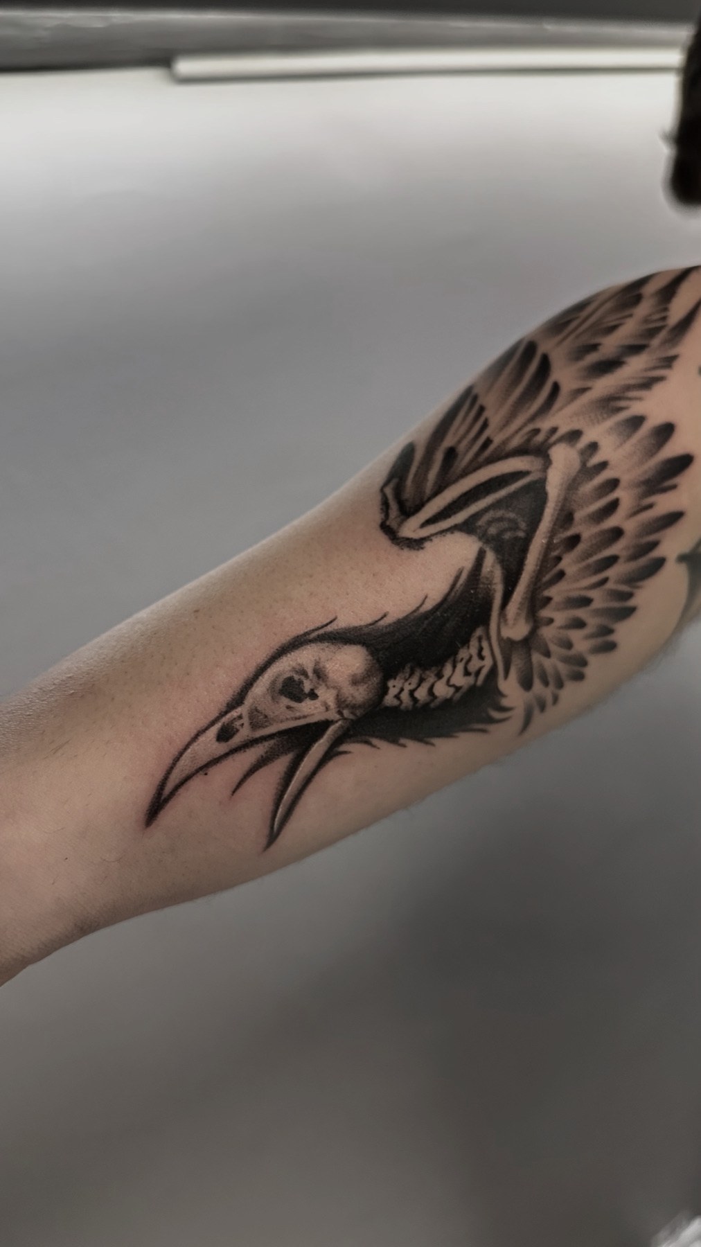 Tatuaj black and grey cu corb pe antebraț, Vlad Boiț, Ace Tattoo București