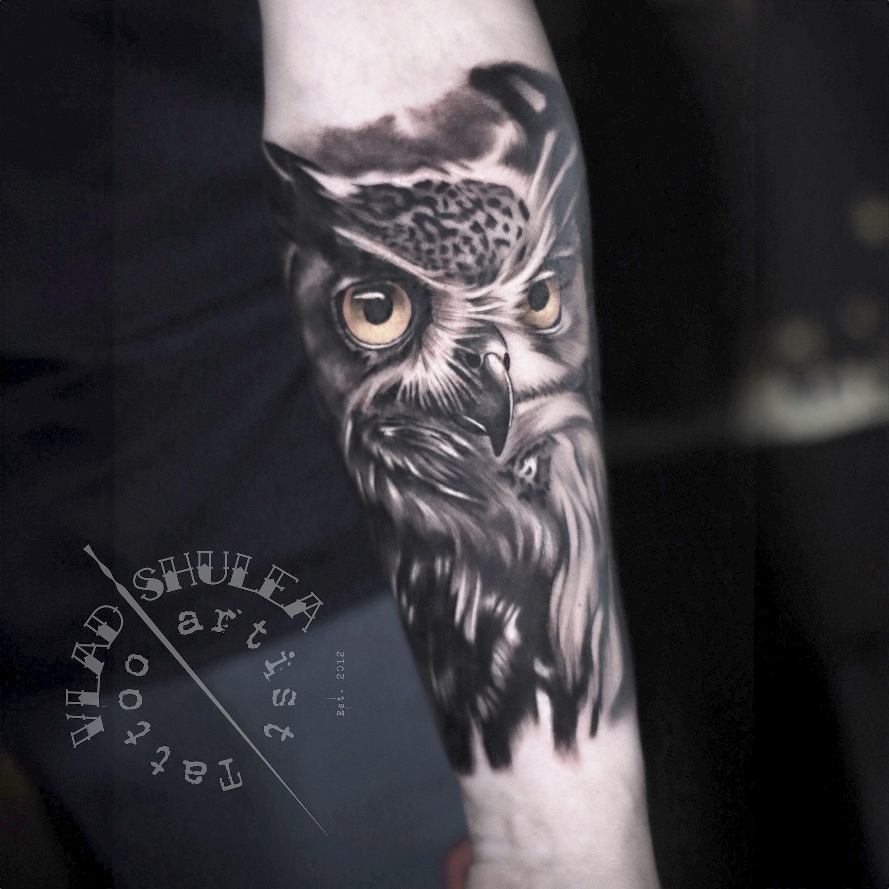 Tatuaj tatuaje black & grey realizat de Vlad Shulea la Ace Tattoo Bucuresti