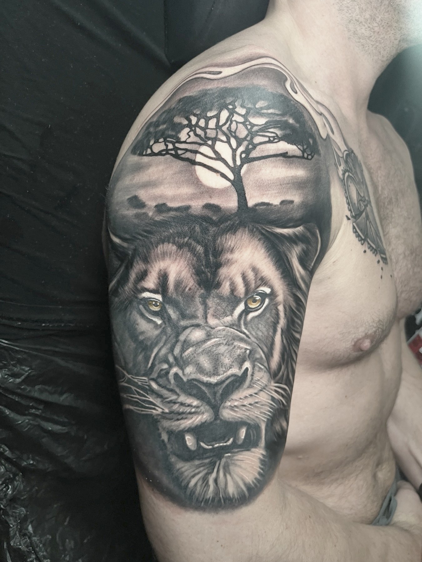 Leu sub copac la apus, tatuaj black and grey de Vlad Shulea la Ace Tattoo București