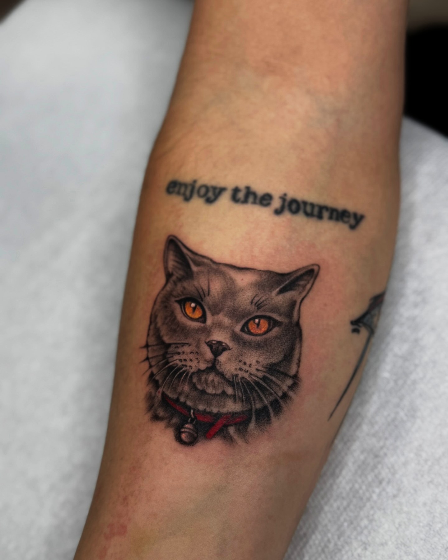 Pisică britanică color cu text «enjoy the journey», tatuaj color de Andreea la Ace Tattoo București