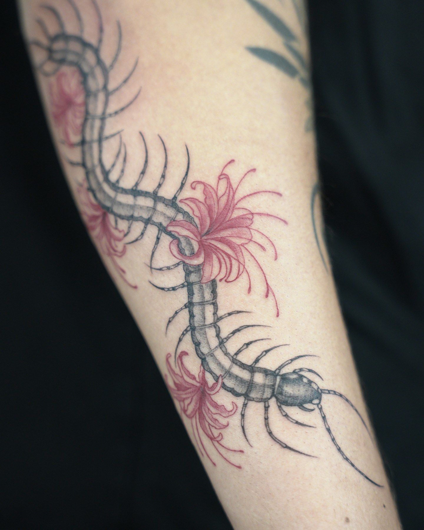 Tatuaj color realizat de Andreea la Ace Tattoo București