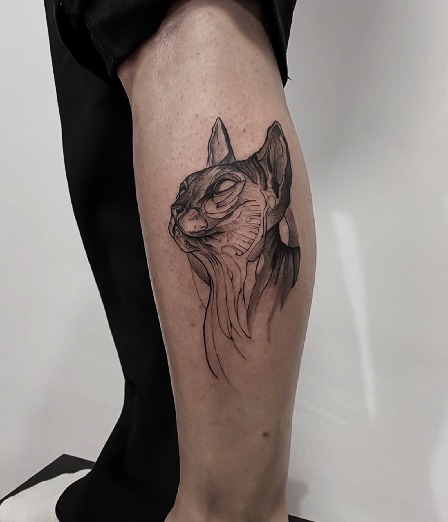 Tatuaj tatuaje fine line realizat de Andreea la Ace Tattoo Bucuresti