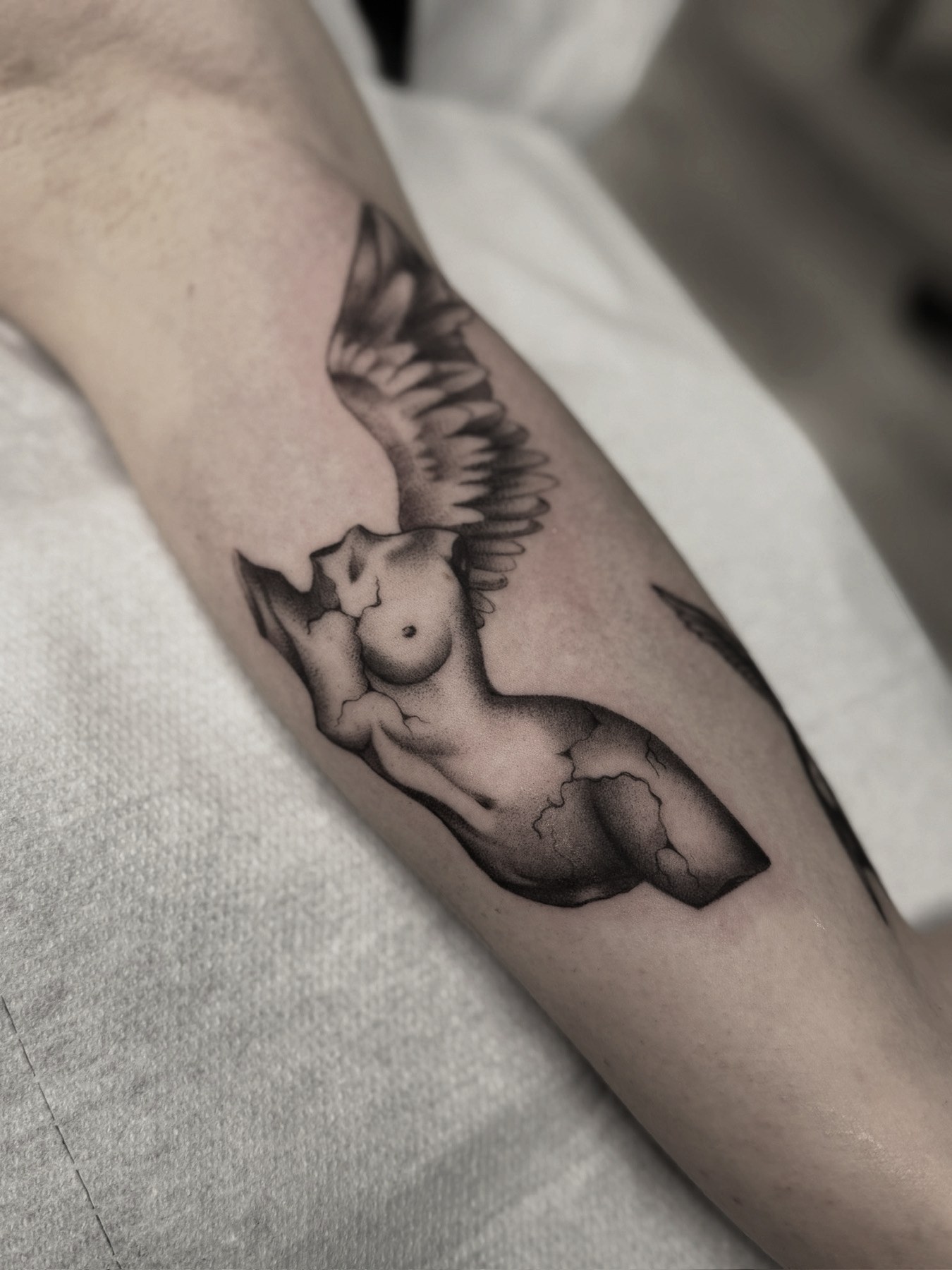 Tatuaj tatuaje fine line realizat de Andreea la Ace Tattoo Bucuresti