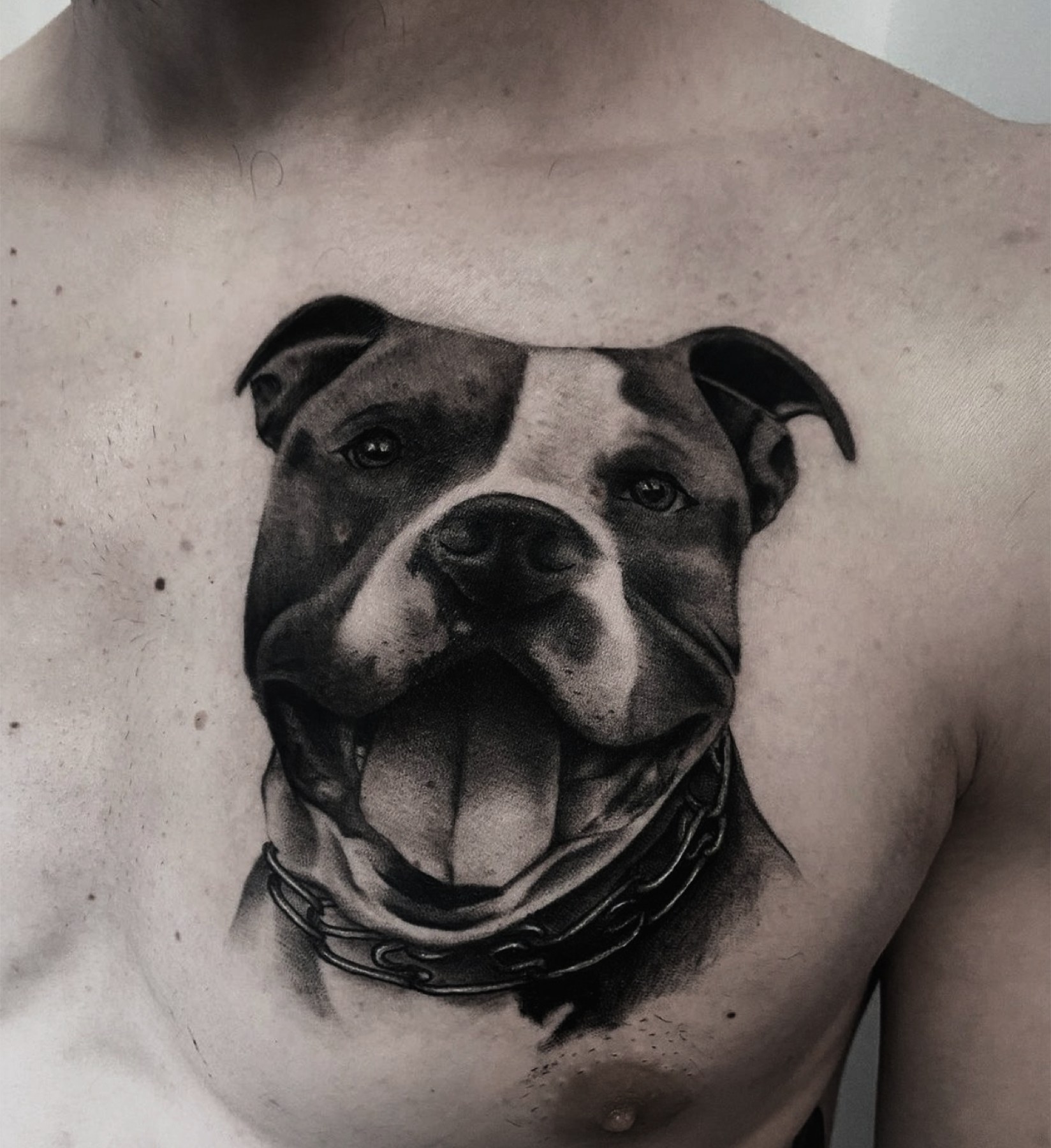 Portret realist de câine pe piept, black and grey, Rox, Ace Tattoo București