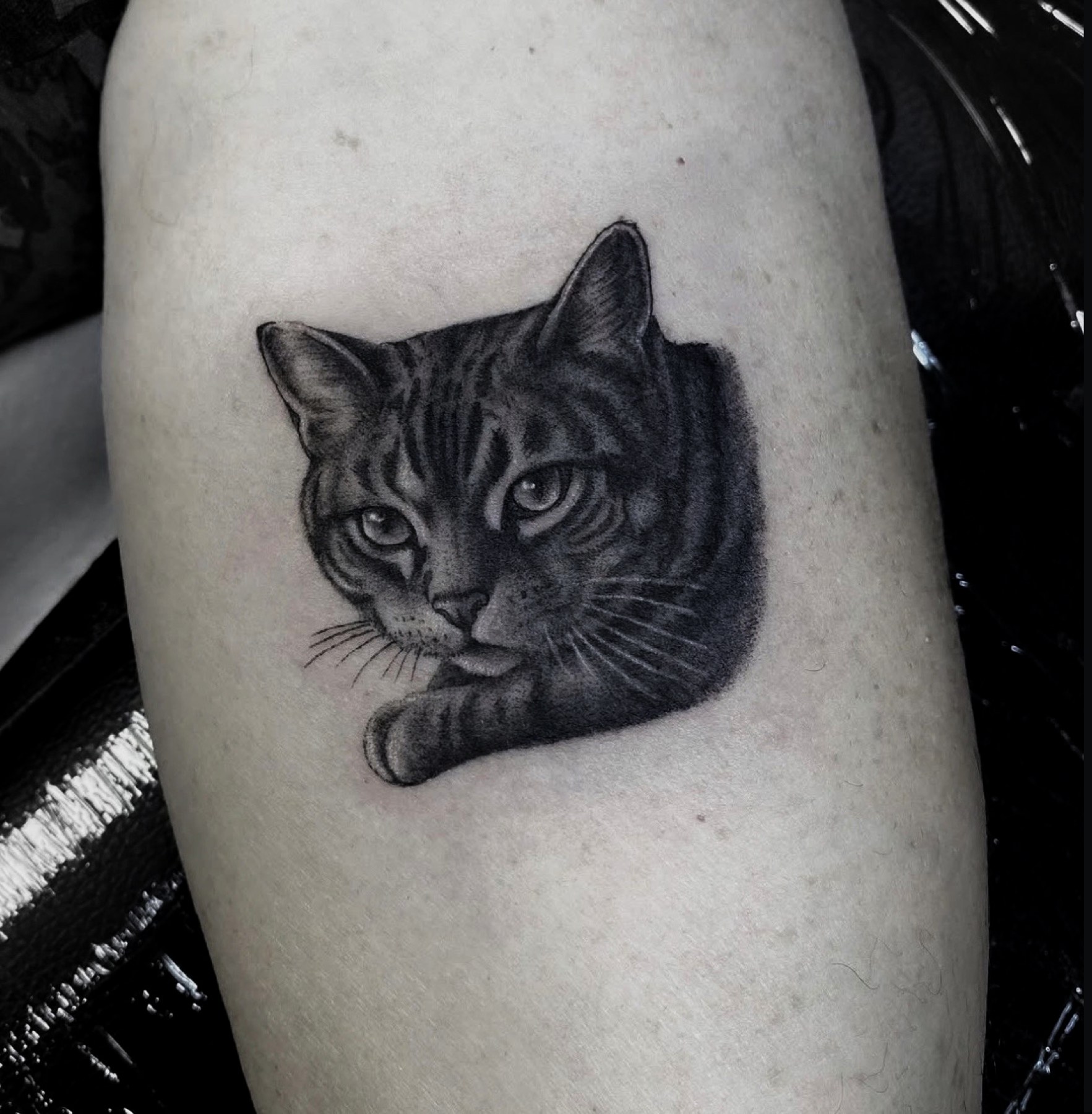 Portret realist de pisică tigrată pe braț, black and grey, Rox, Ace Tattoo București