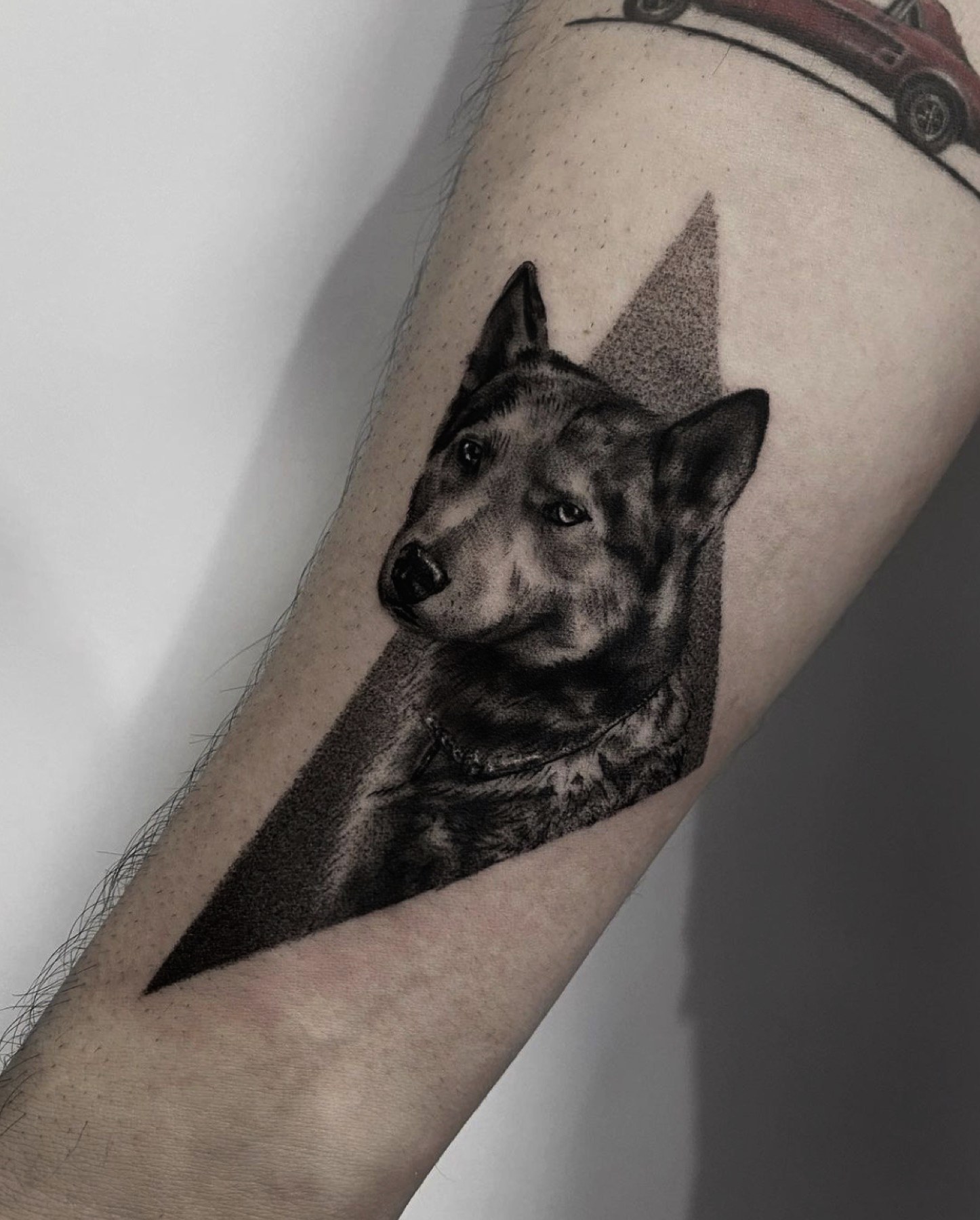Portret realist de câine cu fundal geometric pe antebraț, Rox, Ace Tattoo București
