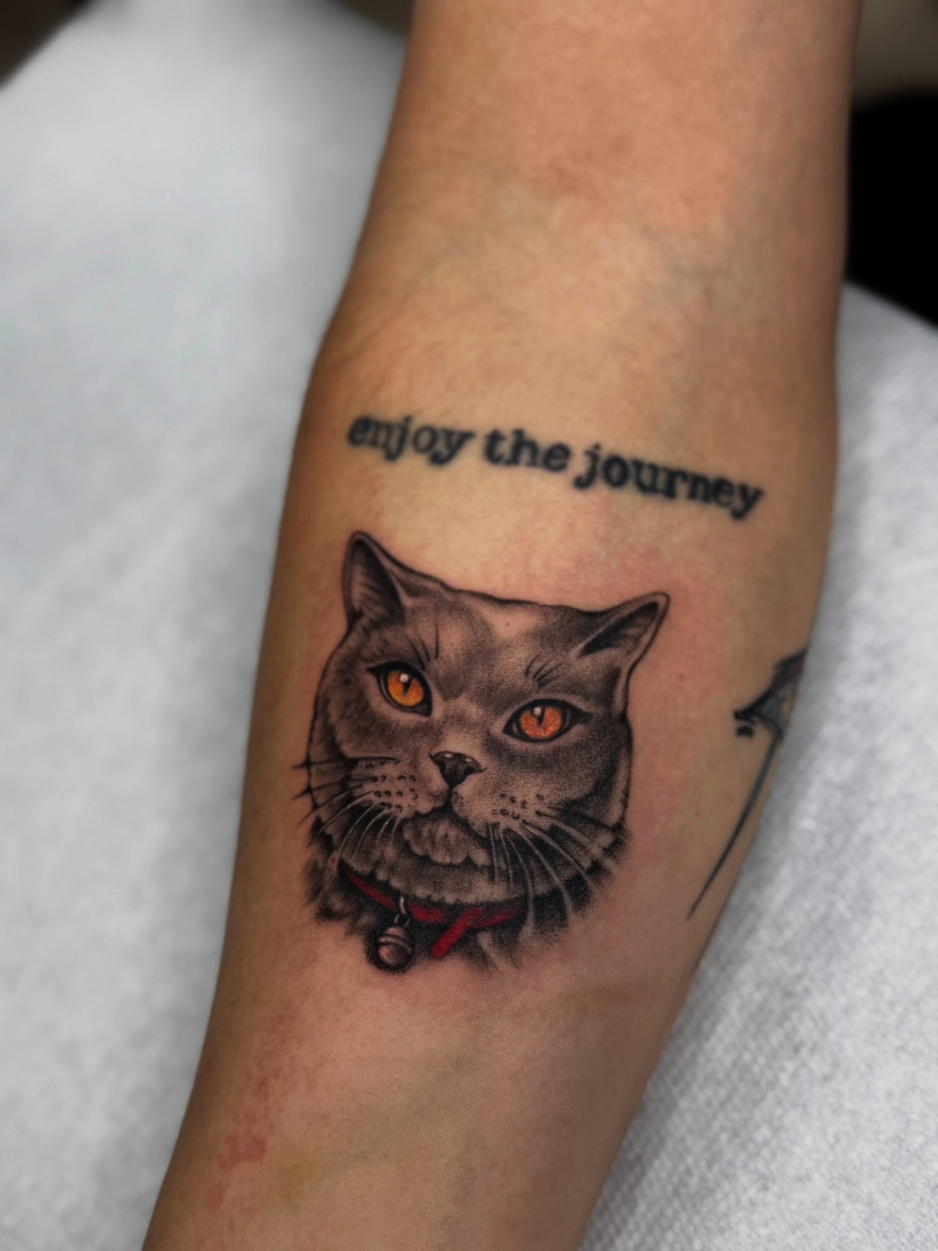 Tatuaj mic cu portret de pisică și lettering pe antebraț, Andreea, Ace Tattoo București