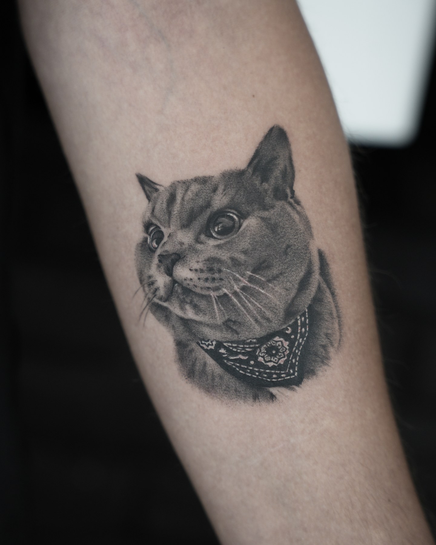 Portret realist pisică cu bandană, tatuaj black and grey de Rox la Ace Tattoo București