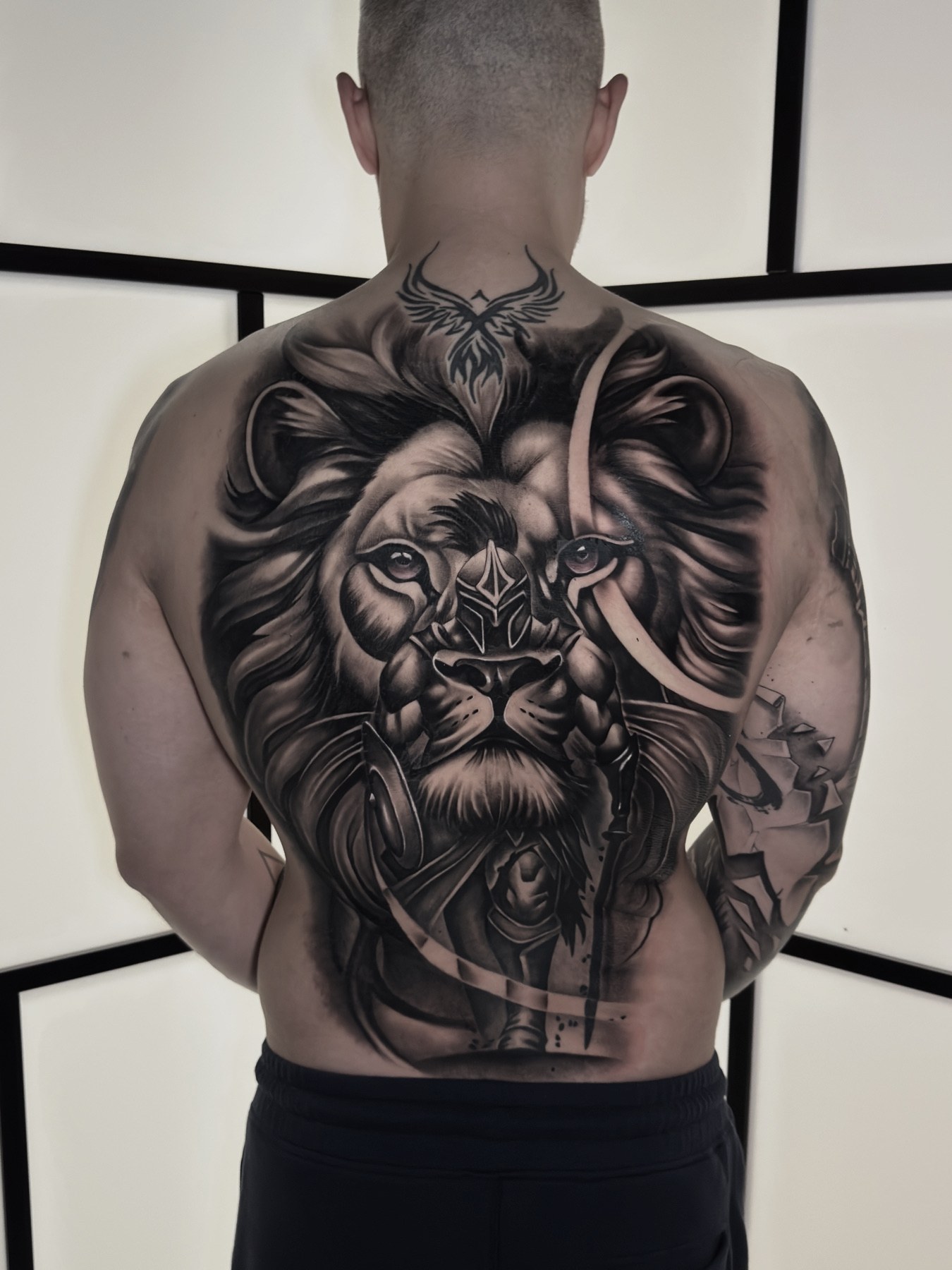 Tatuaj mare pe tot spatele cu leu, black and grey, vindecat, Vlad Shulea, Ace Tattoo București