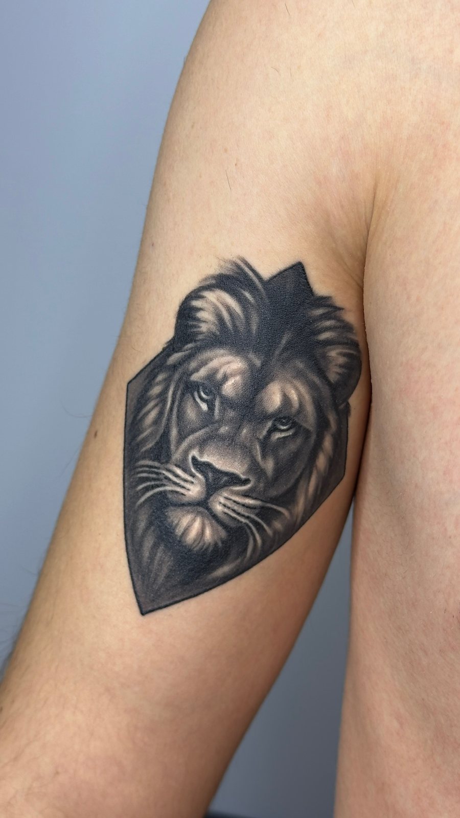 Cap de leu black & grey vindecat pe braț, lucrare Ace Tattoo în Sector 1, București