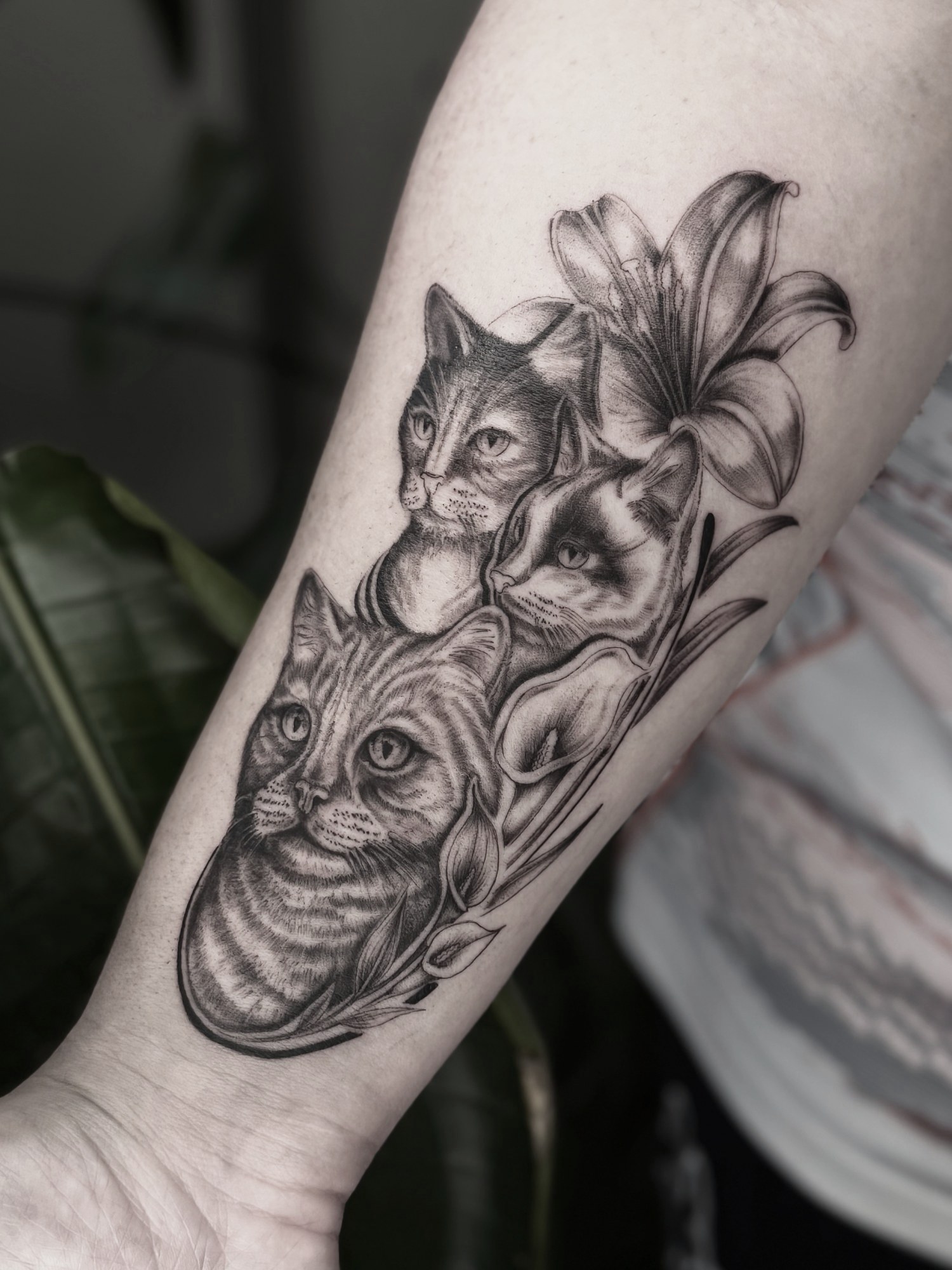 tatuaj black and grey de Vlady la Ace Tattoo București